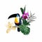 Composition of toucan and palm leaves, orchid flowers. Art print for travel, fashion.