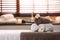 Composition with towels, flowers and stones on massage table in spa salon