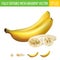 Composition of two whole bananas and a sliced banana.