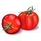 Composition of two whole red tomatoes. Globe tomato. Fresh organic and healthy, diet and vegetarian vegetables. Vector
