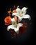 Composition of unusual bouquet of elegant blooming white lilies and orange rose on black background. Poster, picture on