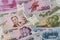 The composition in the various banknotes money won currency North Korean