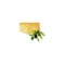 Composition of vector cheese and olive branches of different maturity. Food theme decor element. Can be used as a label,
