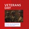Composition of veterans day text over caucasian male soldiers