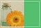 Composition of yellow flower with large green rectangle and thin white line frame