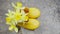 Composition of yellow rubber children`s boots and blooming daffodils in the spring in nature.