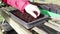 Compost being sprinkled over the top of seeds which have been sown in a tray in a greenhouse.