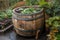 compost bin made from repurposed wine barrel