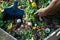 Compost box outdoors full with garden browns and greens and food  wastes, blue shovel in the soil, woman hand keeps basket with we