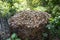 Compost Heap in Chicken wire Enclosure