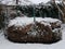 Compost pile with debris and leaves and snow