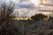 Compost pile with hillside view of panoramic view of sunset clouds