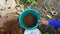 Compost in a plastic bucket is prepared for the plants in the garden