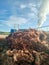 Composting area or Empty bunch Area on palm oil Mill