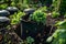 Composting Food Waste in Backyard Bin for Sustainable Gardening. Concept Composting, Food Waste,