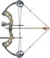 Compound bow and arrow