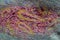 Compressed beautiful silk red matted with multicolored hair into a soft cloth