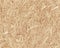 Compressed light brown chipboard. Vector wood