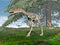 Compsognathus dinosaur - 3D render