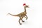 Compsognathus  Dinosaur with Christmas hat on white background