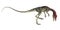 Compsognathus dinosaur roaring - 3D render