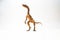 Compsognathus Dinosaur on white background