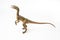 Compsognathus Dinosaur on white background