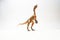 Compsognathus Dinosaur on white background