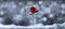 A computer generated single red rose stem growing up through snow against a blurred winter background