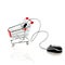 Computer mouse and shopping cart. Online market