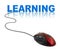 Computer mouse and word Learning