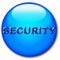 Computer round icon with word of security