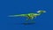 Compy Jurassic Dinosaur Runcycle Blue Screen Loop 3D Rendering Animation