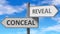 Conceal and reveal as a choice - pictured as words Conceal, reveal on road signs to show that when a person makes decision he can