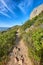 Concealed mountain pathway surrounded by fynbos. Beautiful view of the sky and city from the top of the hills. A hiking