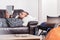 Concentrated attractive man reading on a sofa