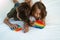 Concentrated children playing popit toys while lying on white bed.