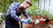 Concentrated man florist in a greenhouse planting a flower into a pot he wearing apron the carefully planting flower