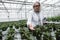 Concentrated mature woman standing in greenhouse