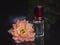 Concentrated perfume in a mini bottle with pink scented tea rose on the black background