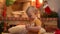 Concentrated toddler playing with Christmas decorations sitting on carpet in living room at New Year tree. Portrait of