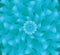 Concentric blue flower texture