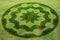 Concentric circles and stars symbols fake crop circle meadow