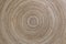 Concentric patterns of wood