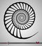 Concentric rotating circular geometric figure of a tornado or vortex. vector illustration isolated. Spiral, shell