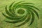 Concentric spirals symbols fake crop circle meadow