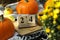 Concept of 24 october with pumpkins outdoor