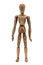 Concept of acupuncture points with wooden mannequin on white background