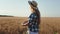 Concept of agriculture and farming handsome lady in the middle of wheat field she holding a basket with wheat grass and