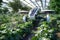 Concept art of autonomous drone performing agriculture tasks in futuristic greenhouse